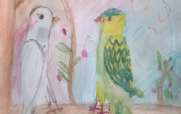 Мои попугайчики - Тоша и Снежка